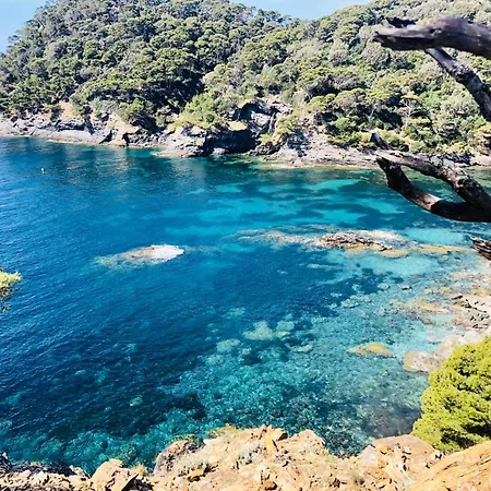 Vila Bernadette - Climatisee Pour 10 Personnes Avec Piscine A Hyeres-la Capte Hyères