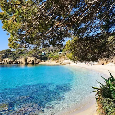 Bernadette - Climatisee Pour 10 Personnes Avec Piscine A Hyeres-la Capte Vila *